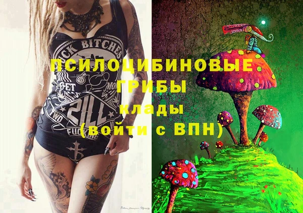 индика Абинск