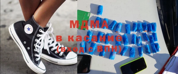 индика Абаза