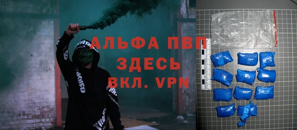 индика Абаза