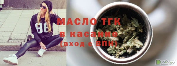 индика Абаза