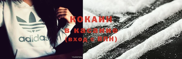индика Абаза