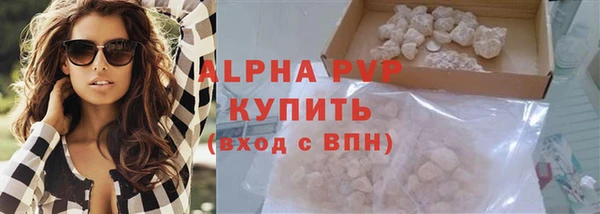 индика Абаза