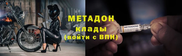 индика Абаза
