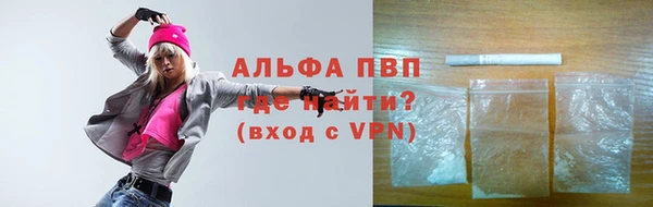 индика Абинск