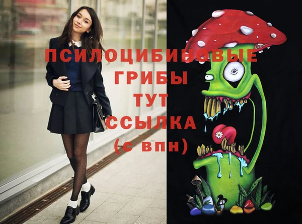 индика Абаза