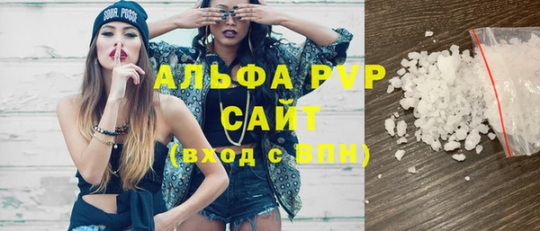 индика Абаза