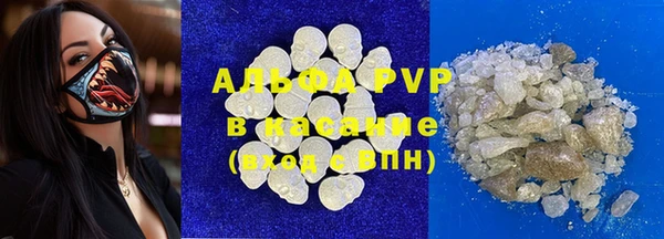 индика Абинск