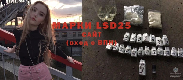 индика Абинск