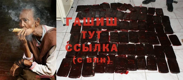 индика Абинск