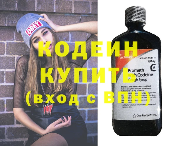индика Абаза