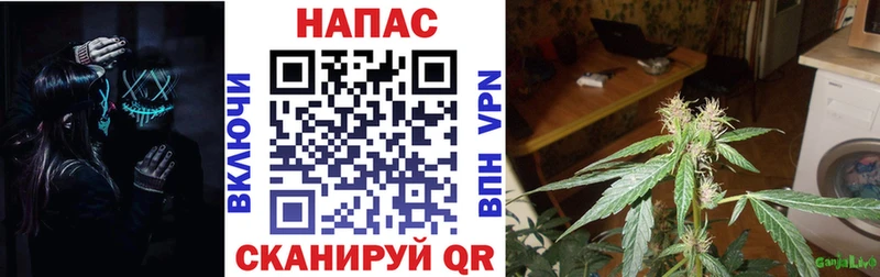 Марихуана Amnesia  Новотитаровская 